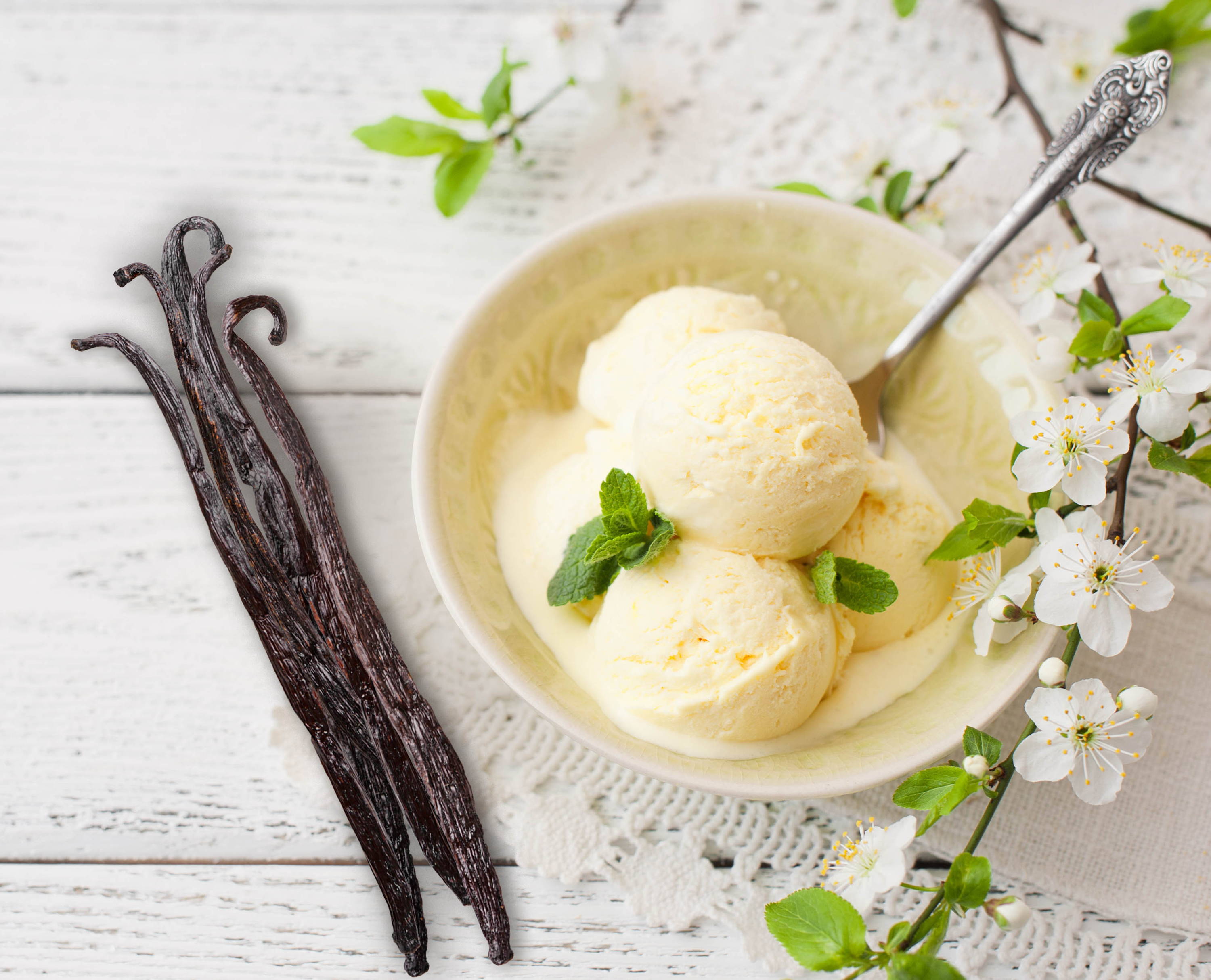 Homemade Vanilla Bean Ice Cream Recipe Heart & Harvest